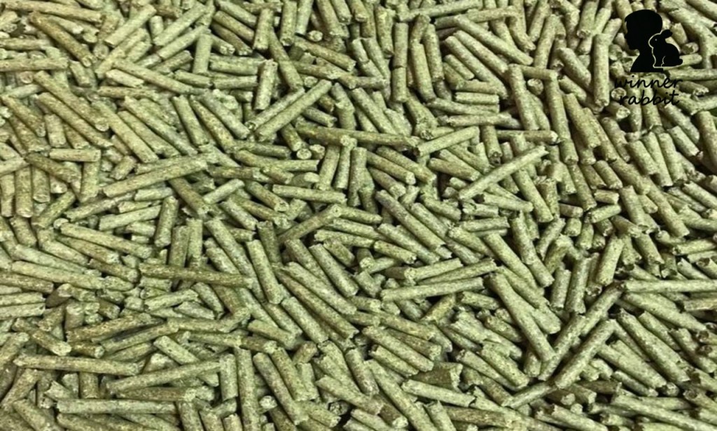 อาหารกระต่าย CBS มีกี่สูตร? เจาะลึกราคาล่าสุด (1Kg, 5Kg, 10Kg) เพื่อการคำนวณต้นทุนที่คุ้มค่า!