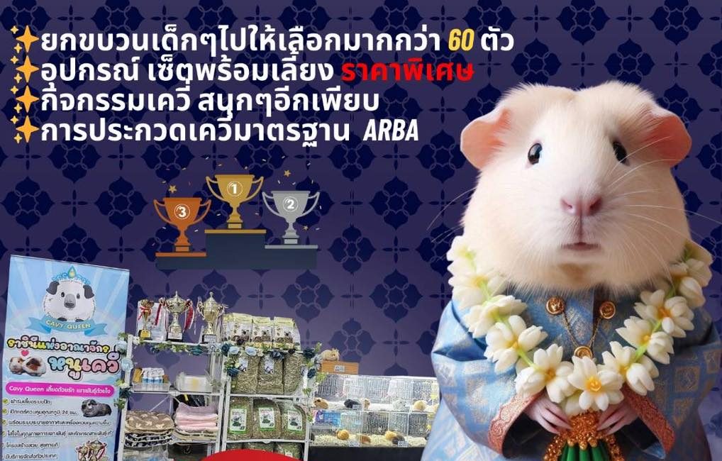 งานประกวดกระต่าย 2026 : INTERNATIONAL RABBIT SHOW & EXPO&nbsp;2026
