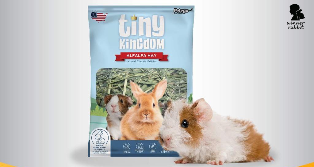 10 แบรนด์ทิโมธีคุณภาพที่สัตวแพทย์และผู้เชี่ยวชาญแนะนำสำหรับกระต่ายโต