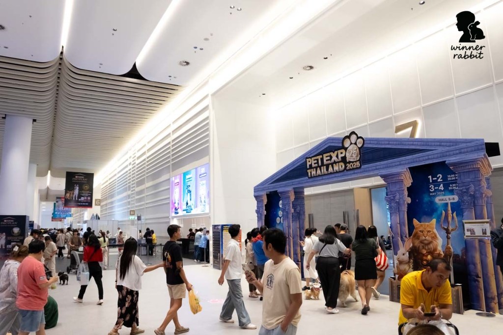 RABBIT SHOW 2026 งานประกวดกระต่ายครั้งยิ่งใหญ่ที่คนรักกระต่ายห้ามพลาด!
