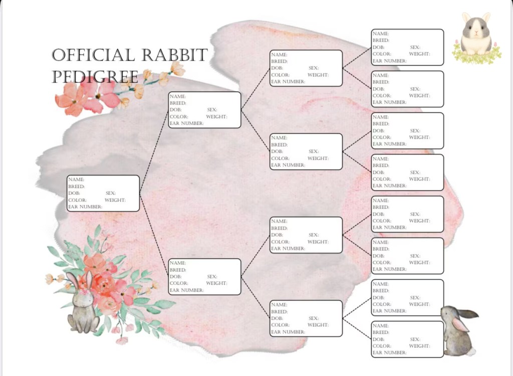 ใบเพ็ดกระต่ายคืออะไร