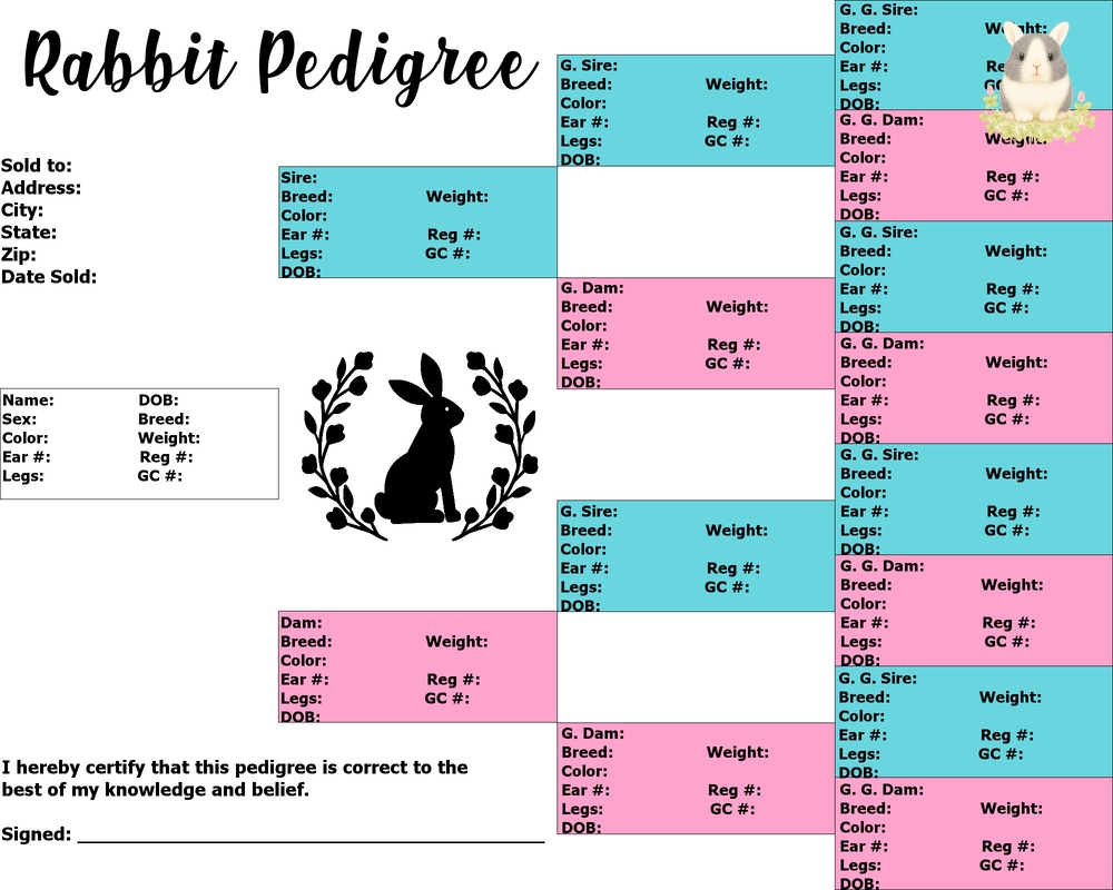 ใบเพ็ดกระต่ายคืออะไร