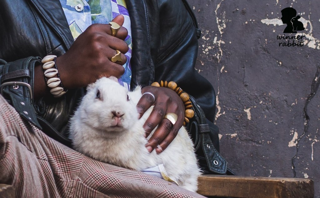 พลังของการเยียวยาด้วย “กระต่าย” สู่บทบาท Pet Therapy ให้ผลบำบัดอย่างไร?