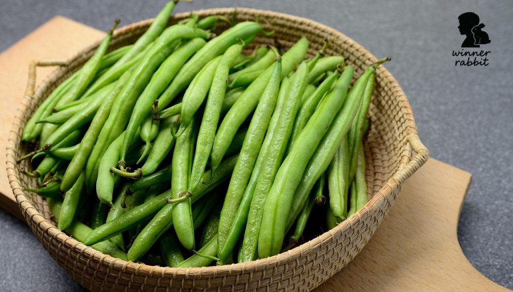 ผักที่ห้ามให้กระต่ายกิน ไม่เช่นนั้นจะตายในไม่กี่ชั่วโมง